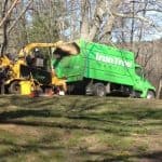 Starting Up A Tree Service Business