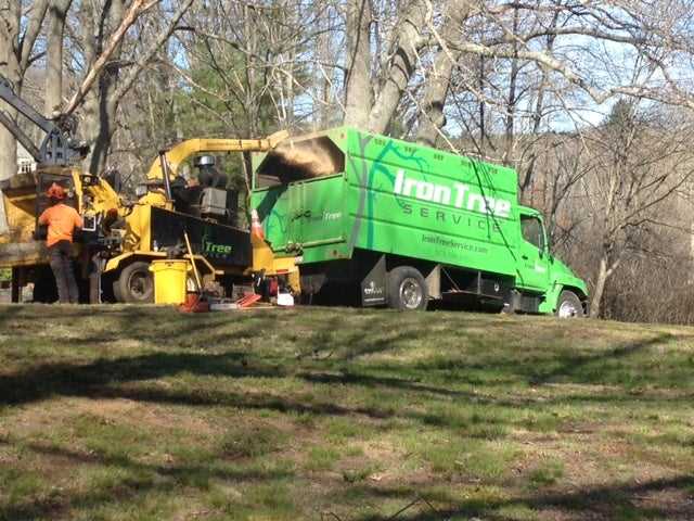 Starting Up A Tree Service Business