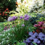 Popular Garden Tools