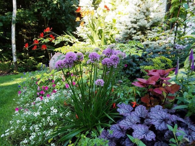 Popular Garden Tools