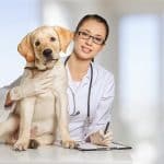 Your pet and herb benefits
