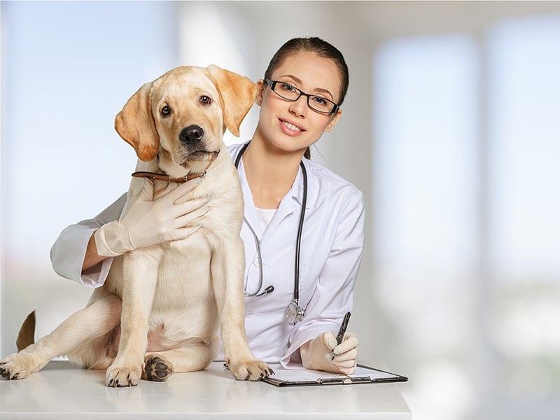 Your pet and herb benefits